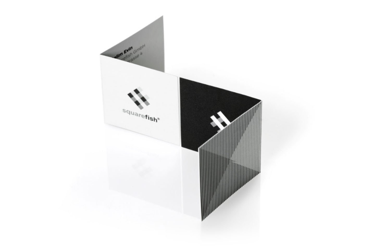 Squarefish brand identity, 2010